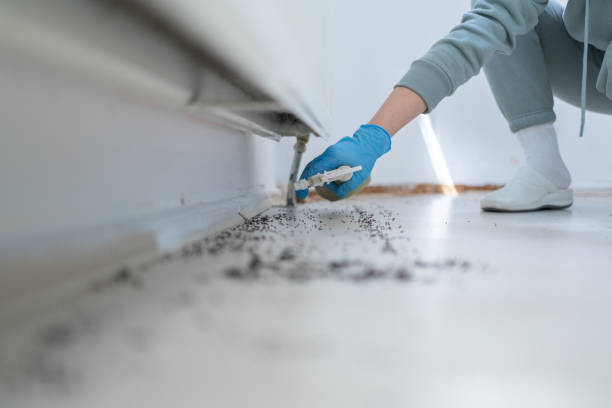 Pest Control Cost in Mapleton, UT